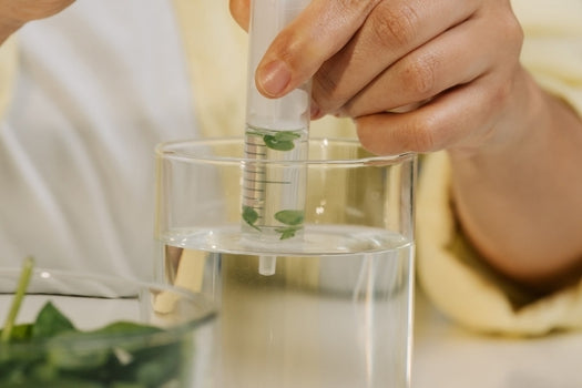 person drawing botanical infused liquid from beaker